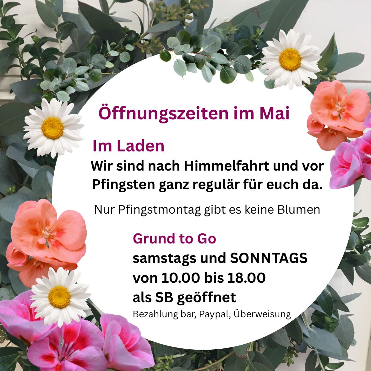 blumen-grund-aktuell
