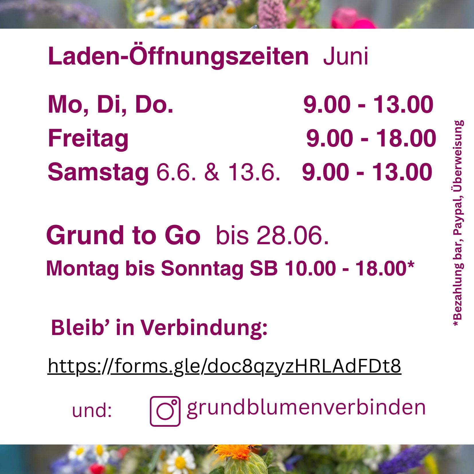 blumen-grund-aktuell