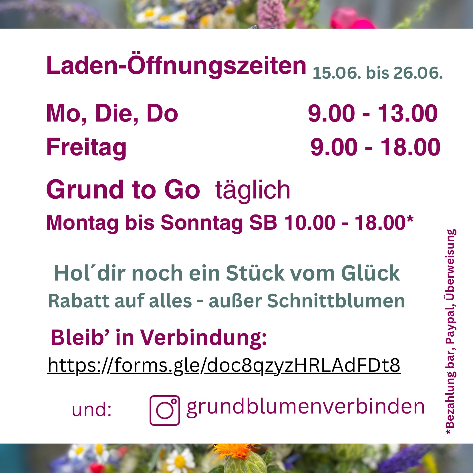 blumen-grund-aktuell